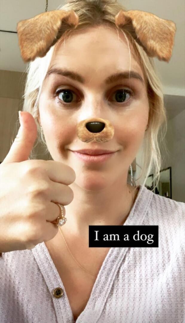 claireholt doghalloween