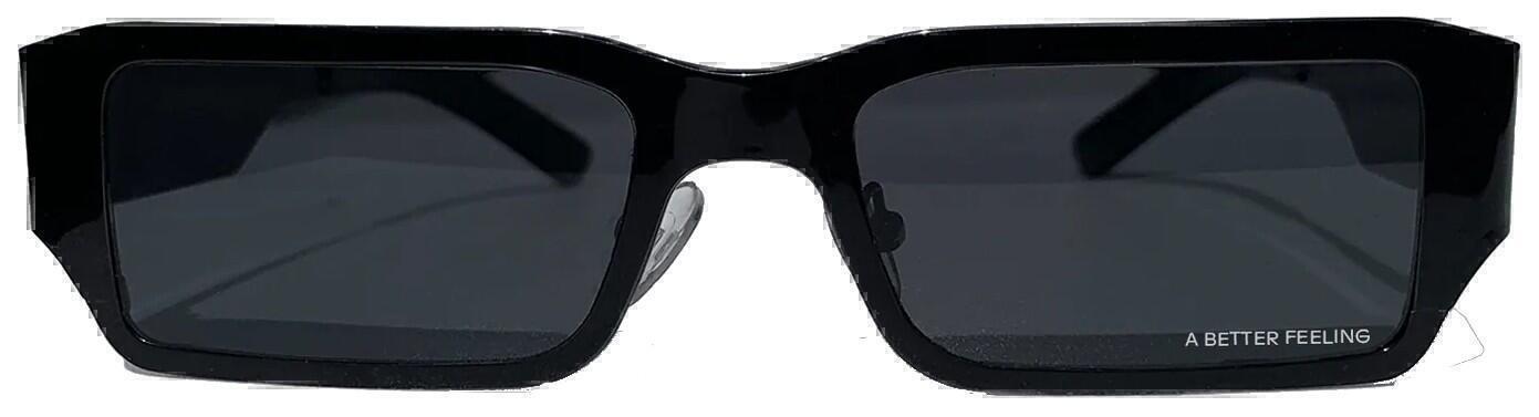 Pollux Sunglasses (Black Steel) | style