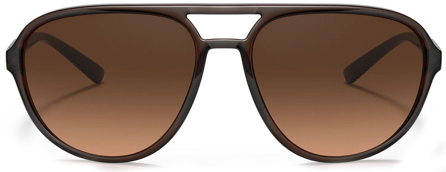 Sunglasses (DG6150 Tobacco) | style