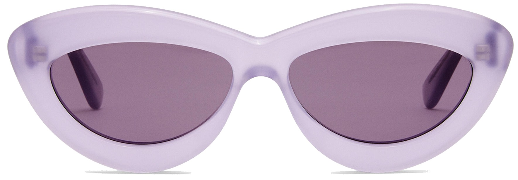 Sunglasses (LW40096 Lilac) | style