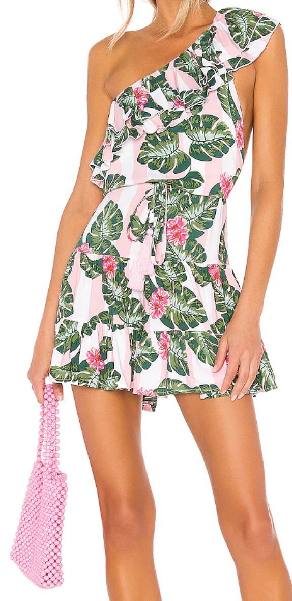 Amity Dress (Pink Palm Stripe) | style