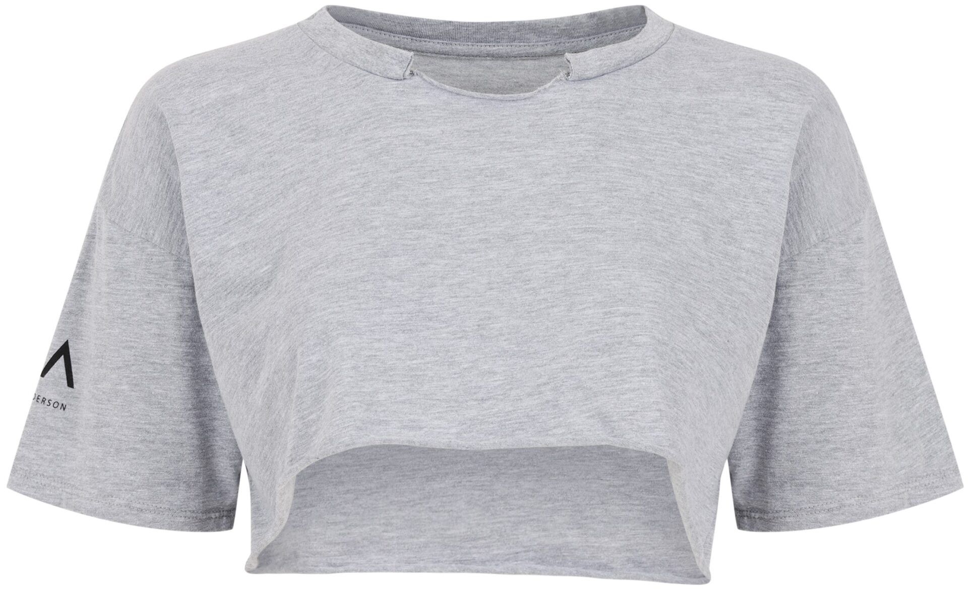 Anyone Can Club Tee (Gray, Cropped) | style