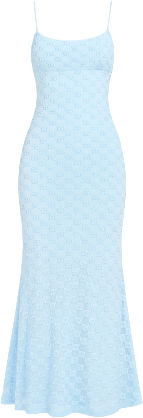 bardot_adonidress_cornflower