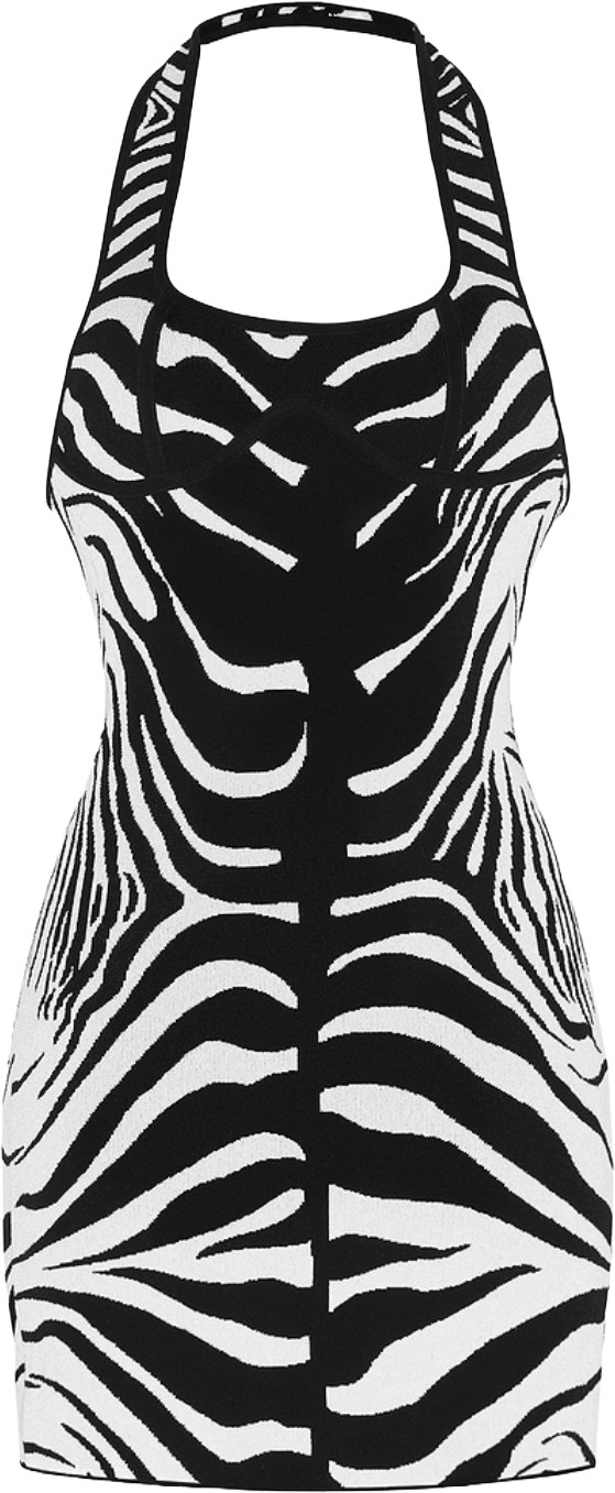Revolve Los Angeles Mirelle Black White Zebra Dress